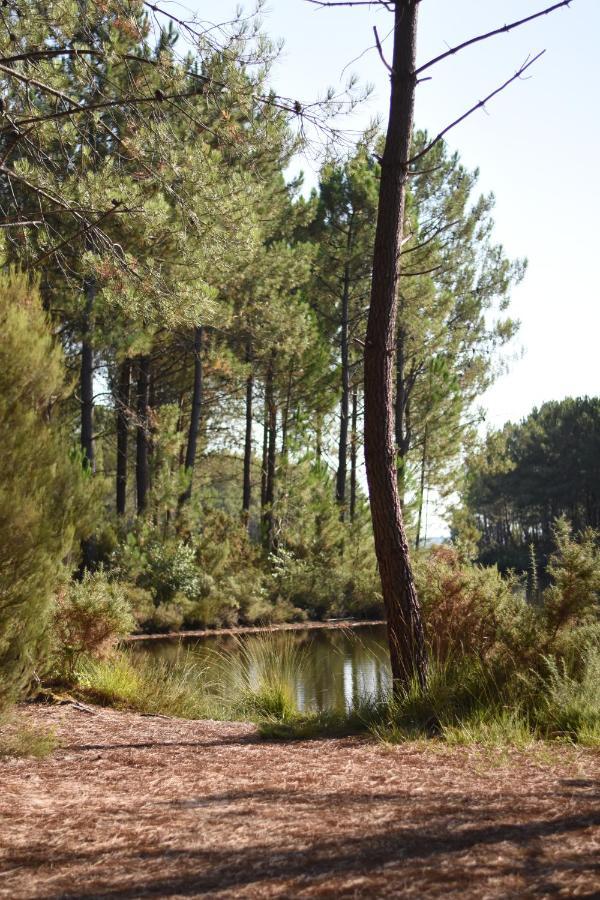 La Cachette Du Lac Lacanau Kültér fotó